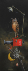 <em>Prise de vue nocturne 20 x 50</em>